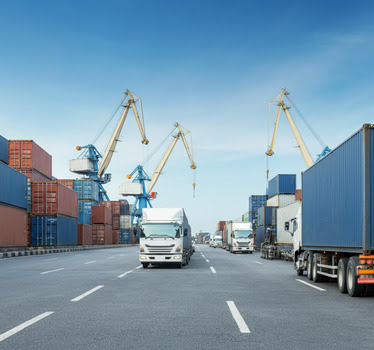 Limanlar İçin <br>Plaka Tanıma Sistemi